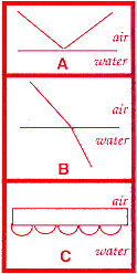 chart.gif