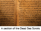 a photograph of a section of the Dead Sea Scrolls