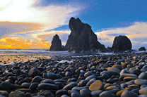 Rugged rocky coast of Ruby Beach in Washington State