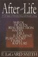 The cover of After Life: A Glimpse of Eternity Beyond Death's Door