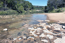 Dinosaur Valley State Park in Glen RoseTexas showing Dino tracks over 100 million years old.