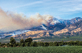 the Thomas fire burning in Ventura, California