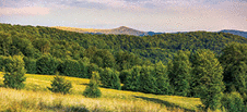  A panoramic view of the forested Carpathian mountains.