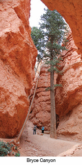 Bryce Canyon