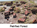 Petrified Forest