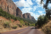 along a road in Zion National Park