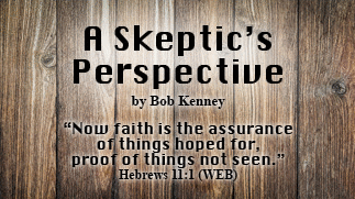 The title is A Skeptic's Perspective--the picture is a fence of vertical wood planks with the author's name.