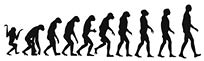  a black silhouette illustration of human evolution