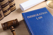 Immigration law book and gavel on wooden table