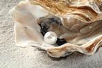 Open oyster with white pearl on sand