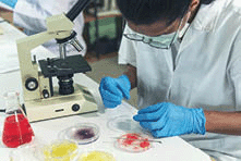 An African American scientist man doing research in science laboratory.