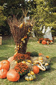 Halloween and Thanksgiving natural outdoor decoration.