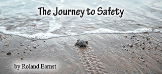 The title of this article is THE JOURNEY TO THE SEA with a tiny sea turtle baby looking at the waves on a beach.