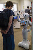 Woman communicates with a robot of the Softbank telecommunications store in the Hondori Arcade of Hiroshima.