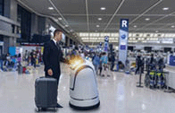 A passenger followa a service robot to a counter check in at an airport.