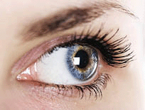 close-up woman's eye