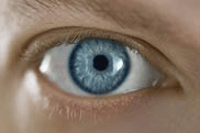 Man's blue eye close-up