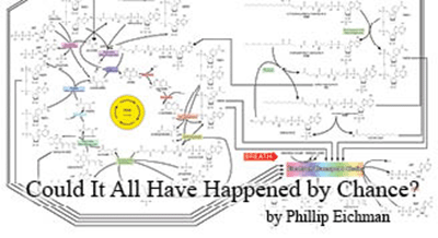 A diagram ofCarbon_Catabolism