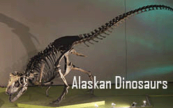 The title of this article is ALASKAN DINOSAURS with a picture of a Nanuqsaurus.