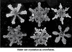 Natural snow flakes on an abstract background