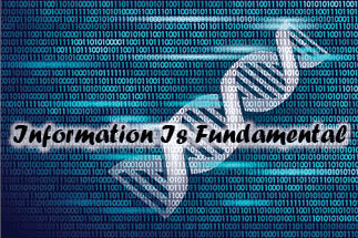 The title of this article is INFORMATION IS FUNDAMENTAL with a picture of DNA binary code future computer technology concept.
