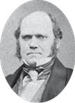 Charles_Darwin