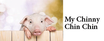The title of this article is MY CHINNY CHIN CHIN with a picture of piglet looking over a fence.