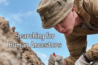 The title of this article is SEARCHING FOR HUMAN ANCESTORS with a picture of an archaeologist gently cleaning with a brush the fossil bone found in the ground.