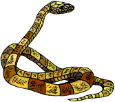 Snake