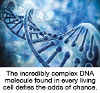 The incredibly complex DNA molecule found in every living cell defies the odds of chance.