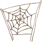 a spider web