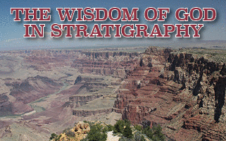 The title of this article is the Wisdon of God in Stratigraphy. All the pictures in this article are by Roland Earnst and are pictures of the Grand Canyon in Arizone.