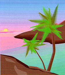 Palms overlooking a bay