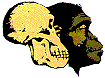 Skull & Ape