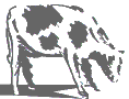 cow2