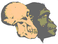 Skull and Ape head