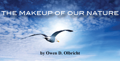 The Makeup of Our Nature title with a seagull in the picture.