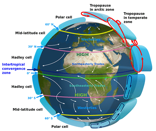Hadley cells within an idealized depiction of the Earth's atmospheric circulation as they may appear at equinox.