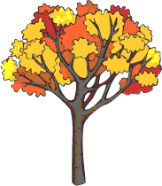 Autumn colored tree