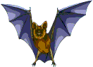 A flying bat