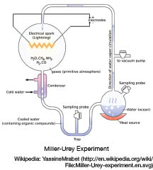 Miller-Urey